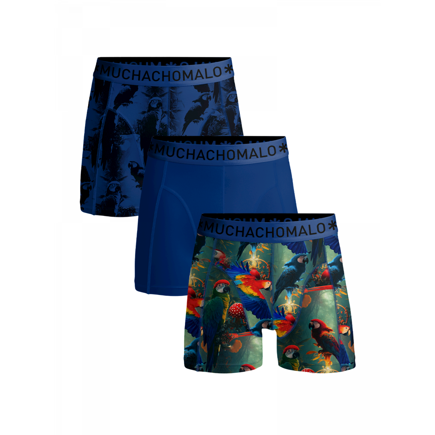 Muchachomalo  3p u- papagayo boxer pr/pr/blue