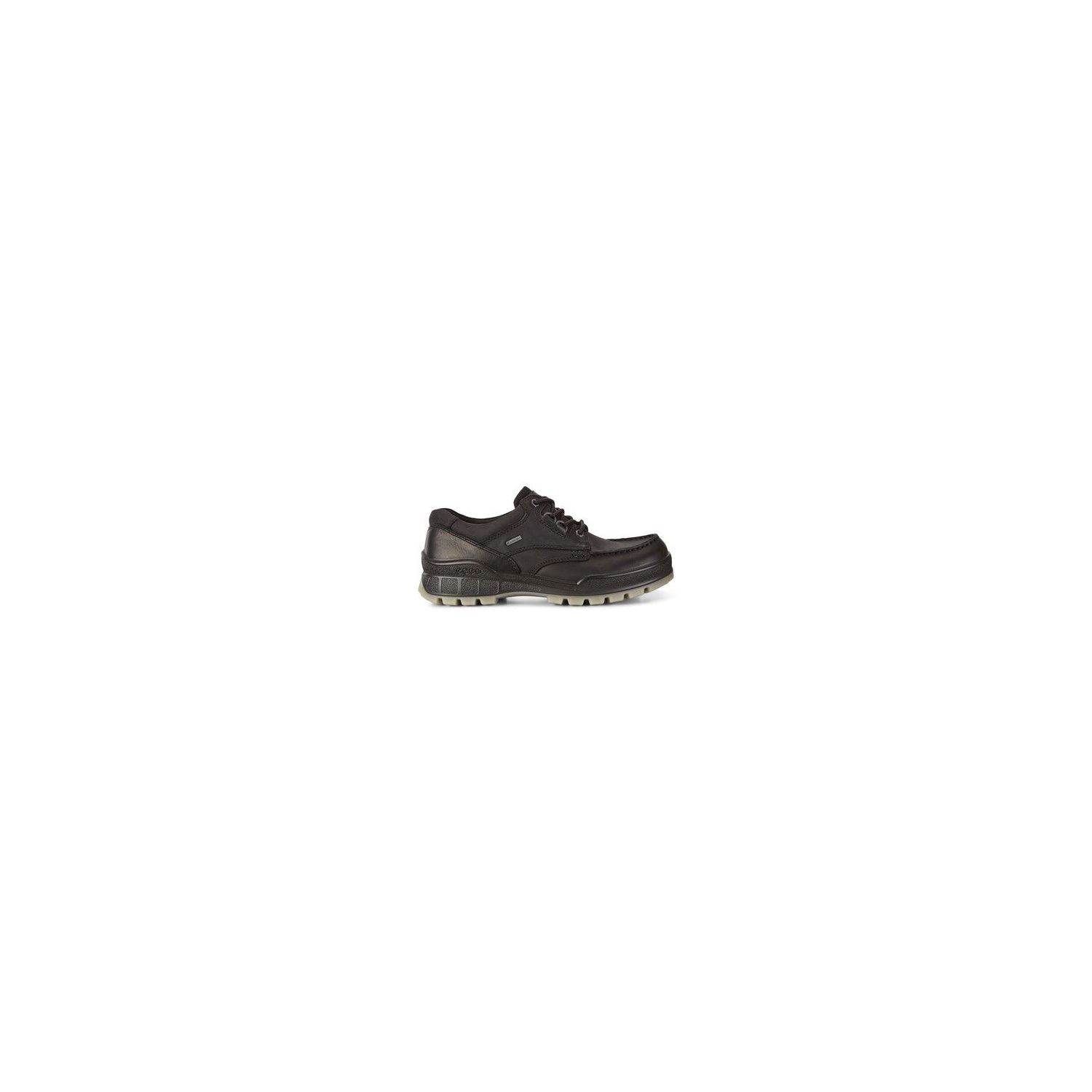 Ecco Track 25 Low GTX Black