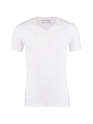 Garage tshirt v-neck semibody fit s/sl wit