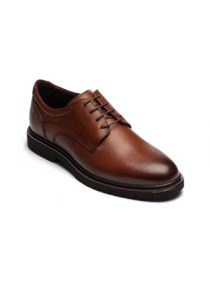 Berkelmans Parana Cognac Calfs