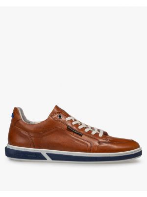 Floris v Bommel Terri Cognac G½