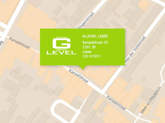 G-level Lisse Maps